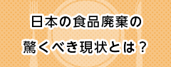 日本の食品廃棄の驚くべき現状とは