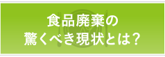食品の驚くべき現状とは？